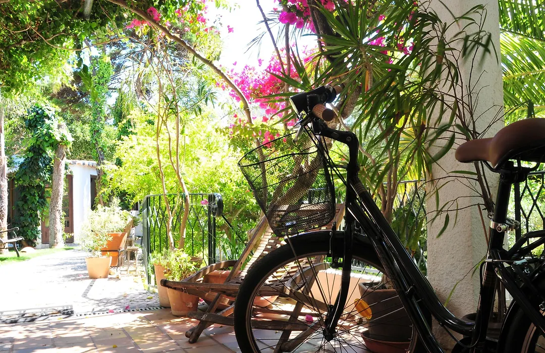 Uma Casa A Beira Sol-1